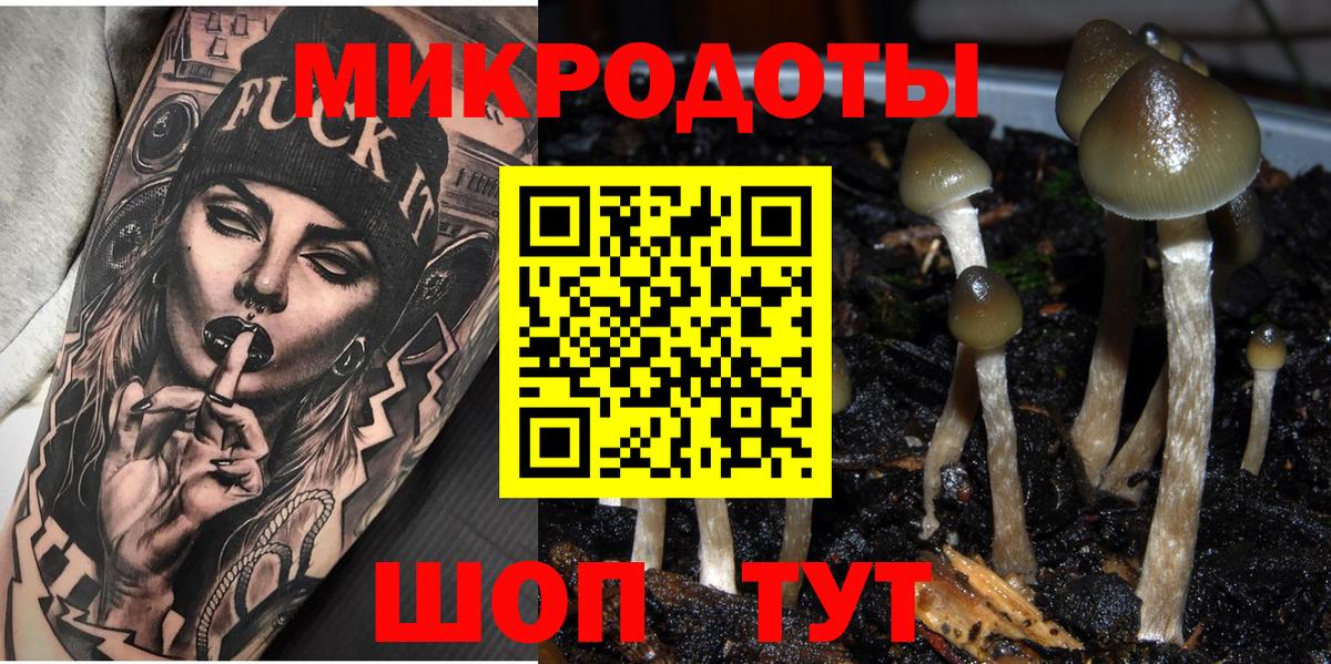 Псилоцибиновые грибы Psilocybine cubensis Электрогорск