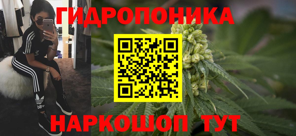Электрогорск  Каннабис Bruce Banner  Бошки марихуана OG Kush  Каннабис THC 21%  Вход с VPN  МАРИХУАНА SATIVA & INDICA 