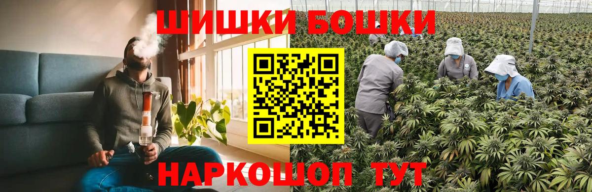 Конопля сатива Электрогорск
